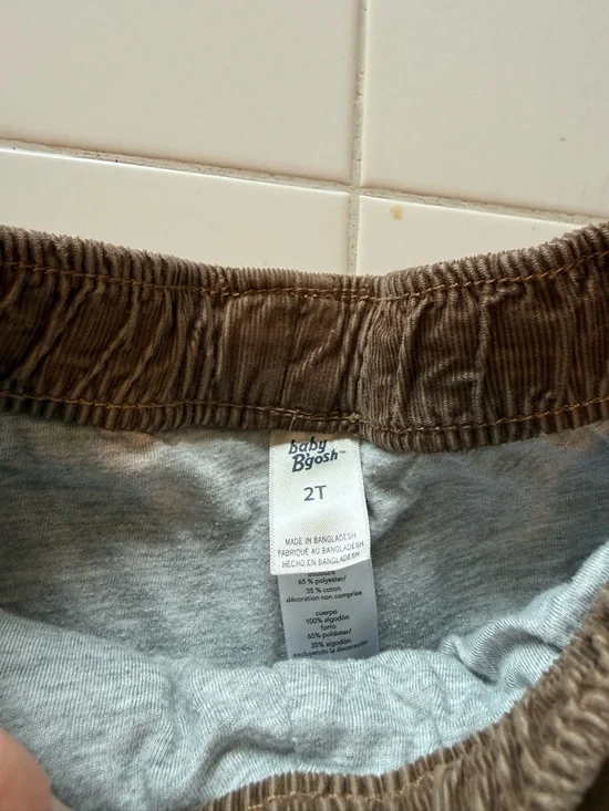 Toddler Boys 2T/3T Corduroy Lined Pants Lot OshKosh B'gosh Overall Joggers Tan - Picture 3 of 15